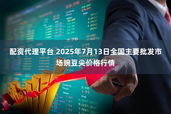 配资代理平台 2025年7月13日全国主要批发市场豌豆尖价格行情
